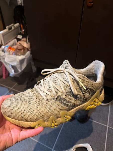診断結果 Lv.3 即入院