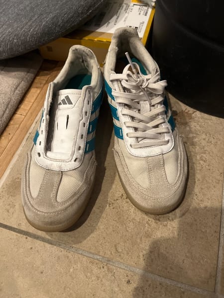 診断結果 Lv.3 即入院